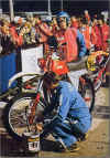 Jawa ISDT