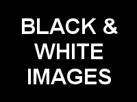 BLACK & WHITE IMAGES